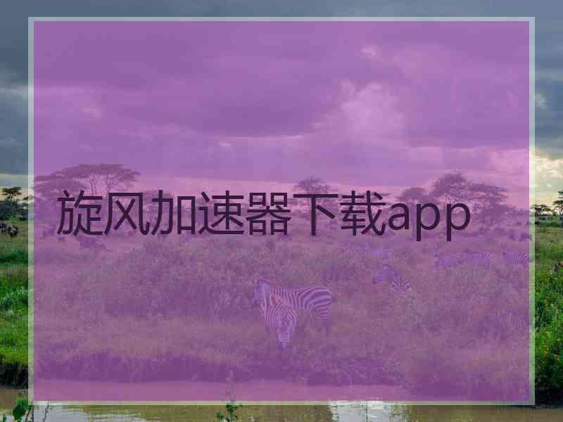 旋风加速器下载app