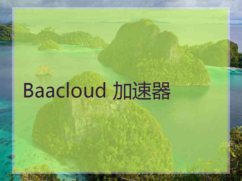 Baacloud 加速器