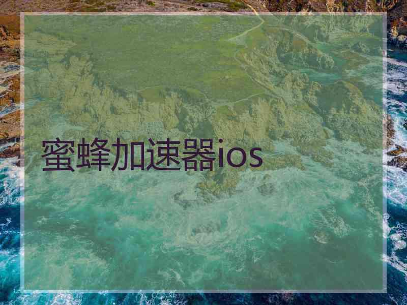 蜜蜂加速器ios