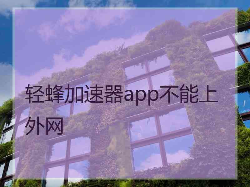 轻蜂加速器app不能上外网