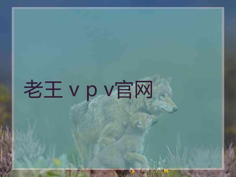 老王 v p v官网