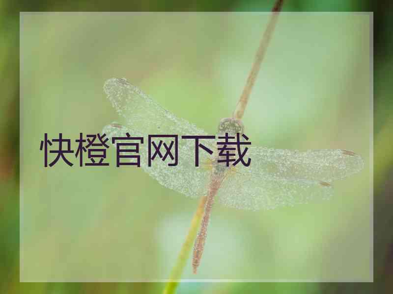 快橙官网下载