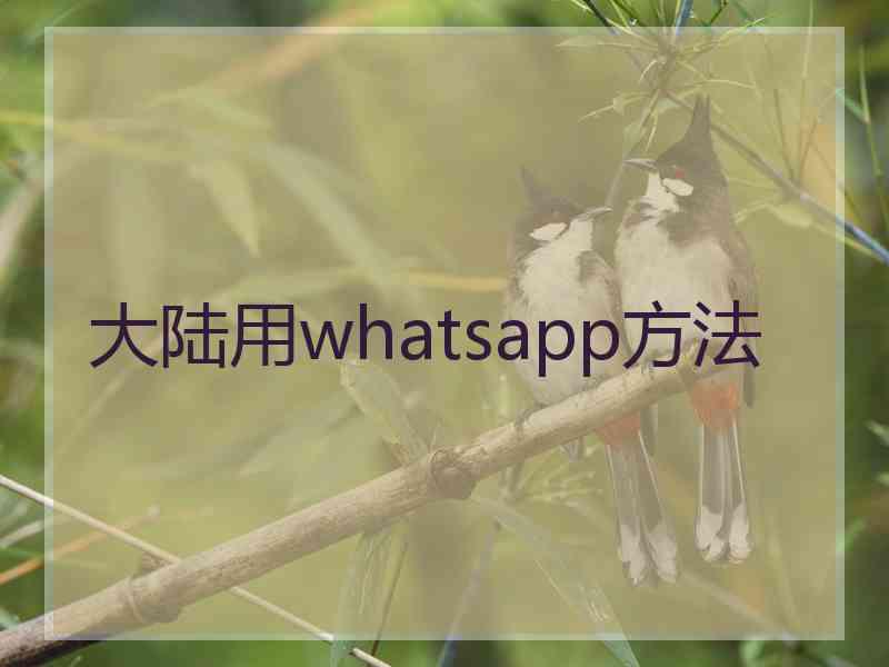 大陆用whatsapp方法