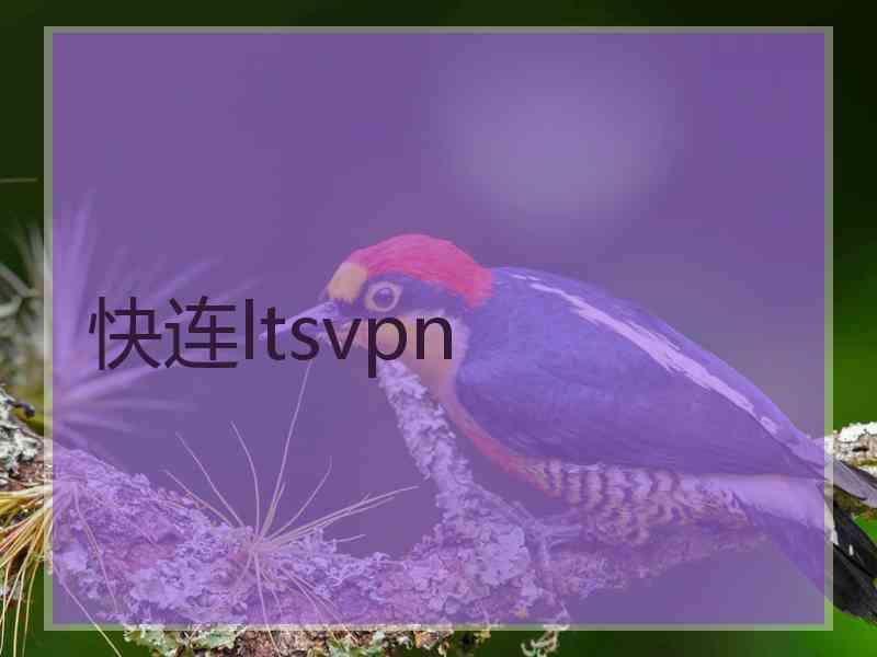 快连ltsvpn