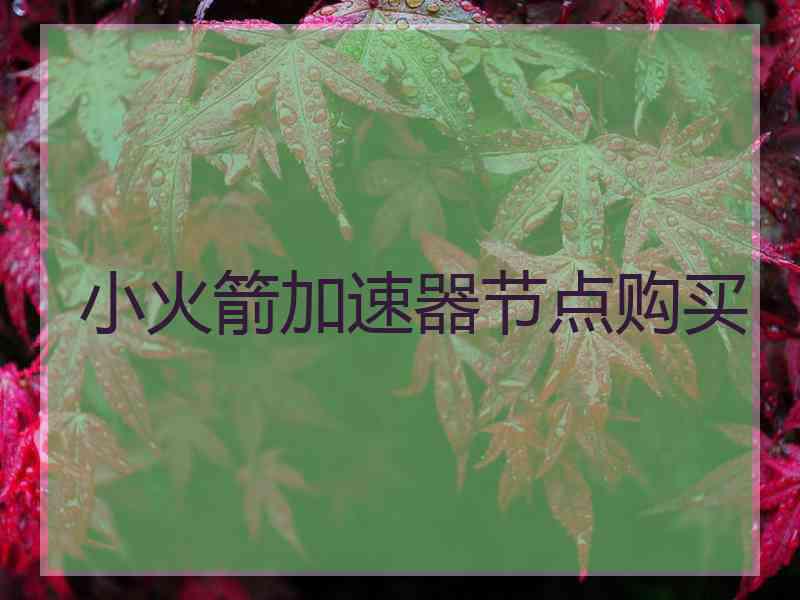 小火箭加速器节点购买