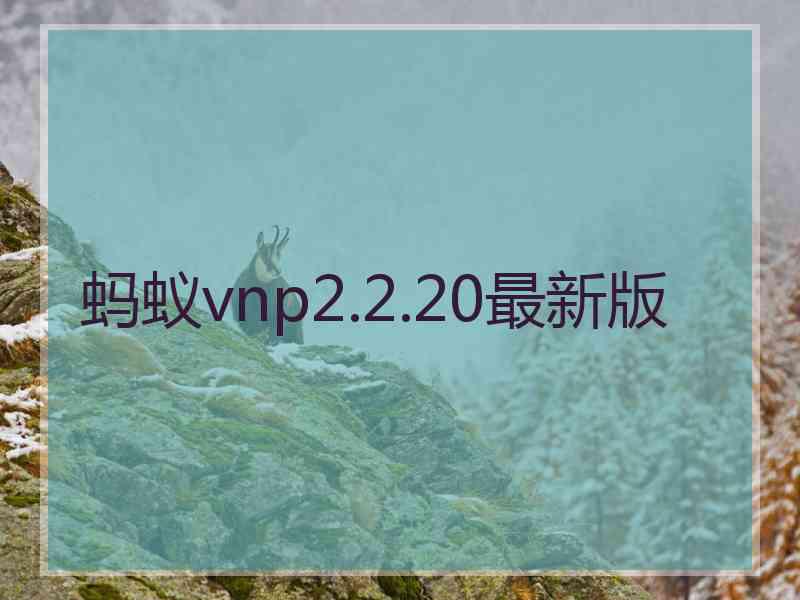 蚂蚁vnp2.2.20最新版