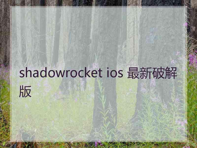 shadowrocket ios 最新破解版