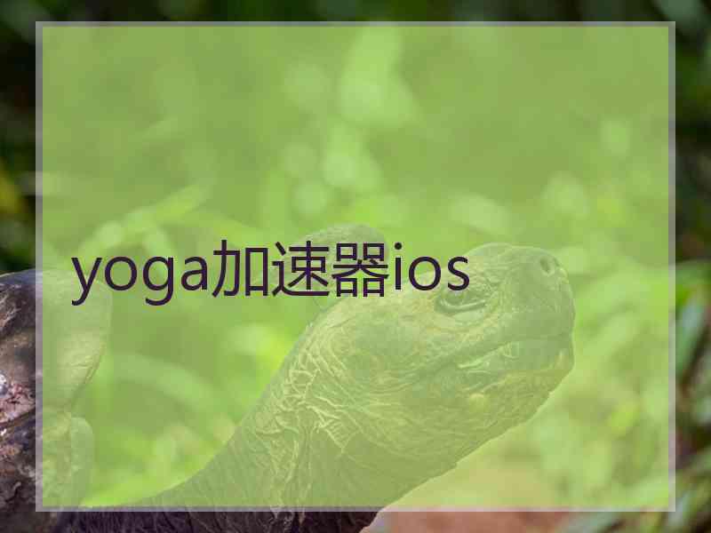 yoga加速器ios