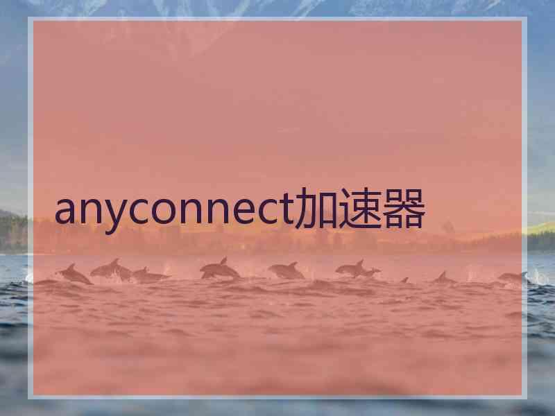 anyconnect加速器