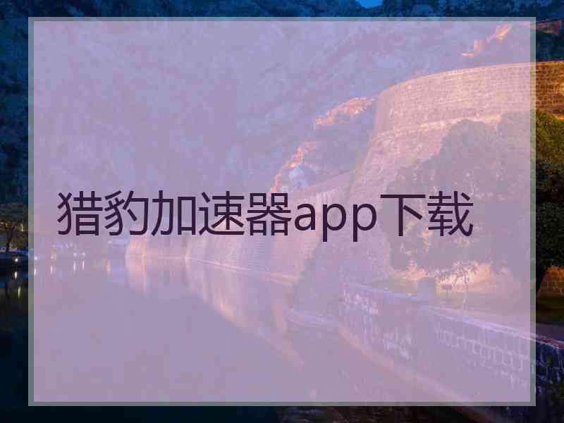 猎豹加速器app下载