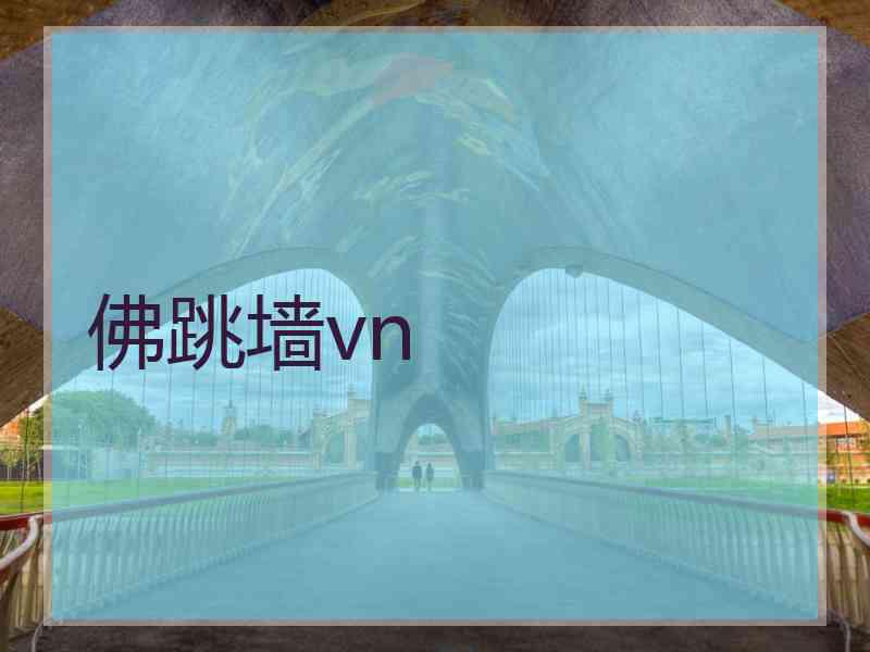 佛跳墙vn