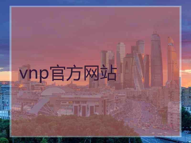 vnp官方网站