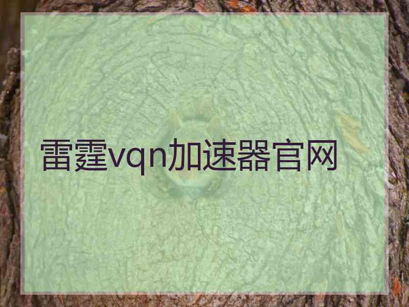 雷霆vqn加速器官网