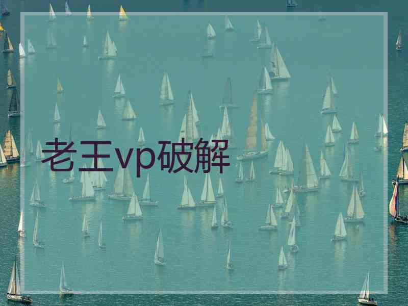 老王vp破解