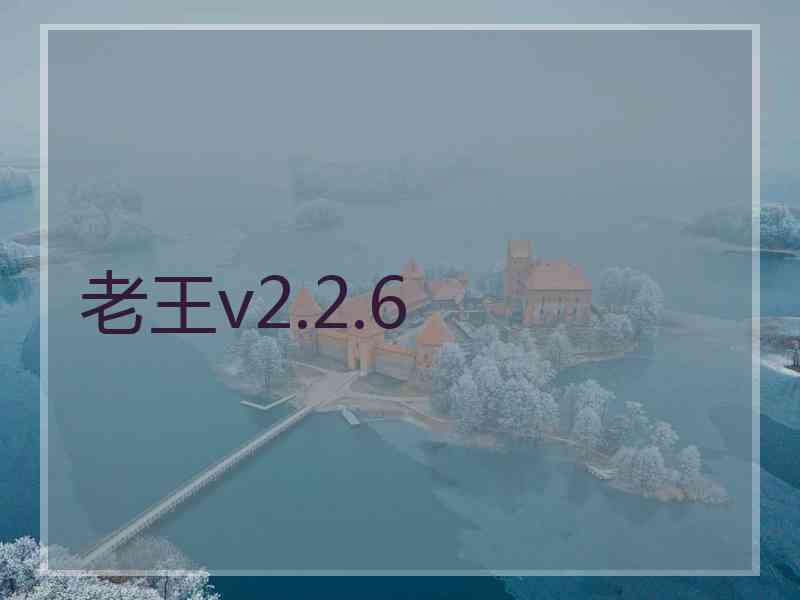 老王v2.2.6