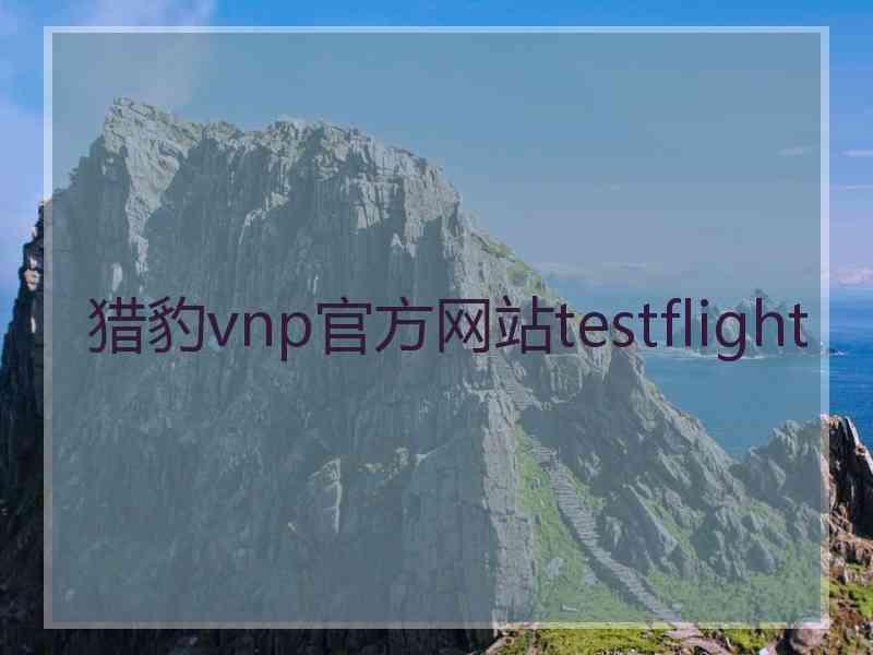 猎豹vnp官方网站testflight