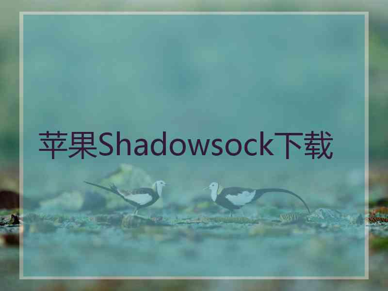 苹果Shadowsock下载