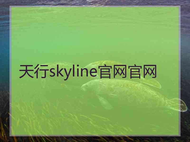 天行skyline官网官网