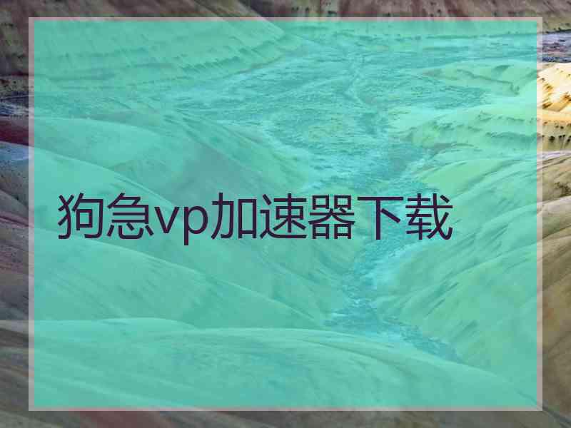 狗急vp加速器下载