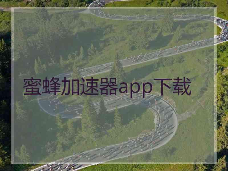 蜜蜂加速器app下载