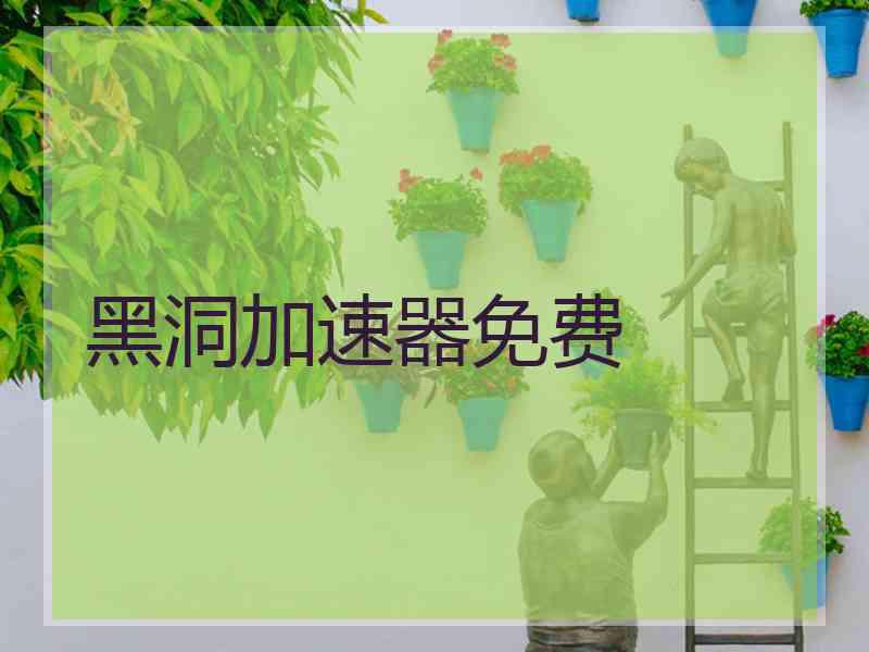 黑洞加速器免费