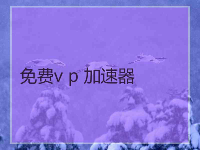 免费v p 加速器