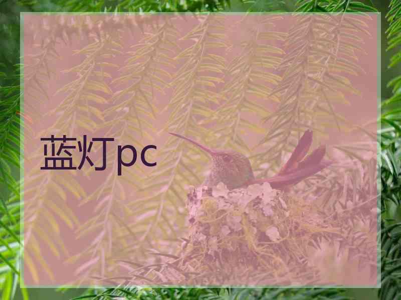 蓝灯pc