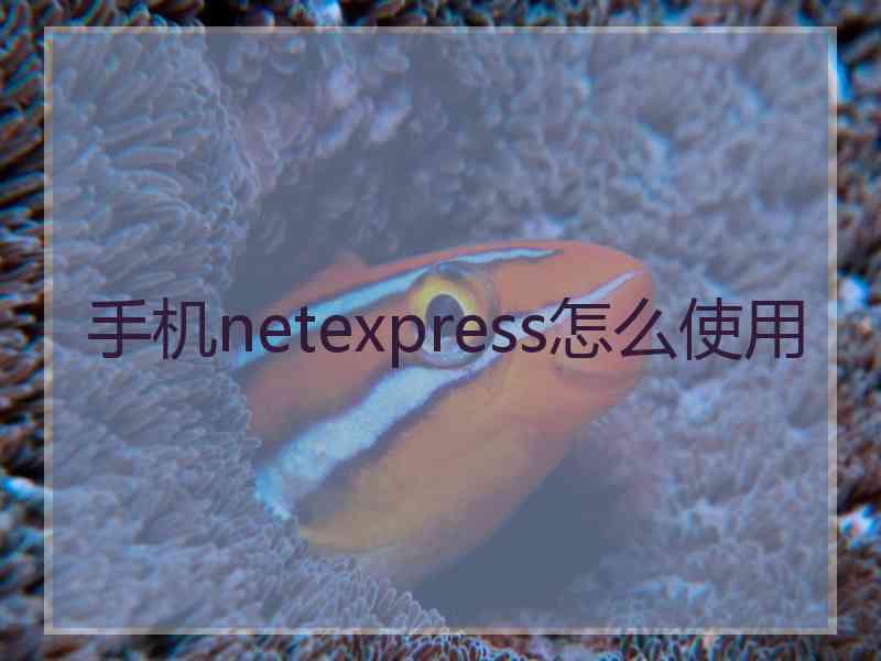 手机netexpress怎么使用