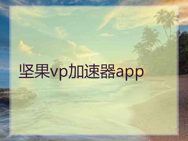 坚果vp加速器app