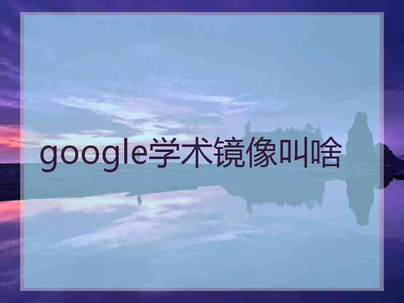 google学术镜像叫啥