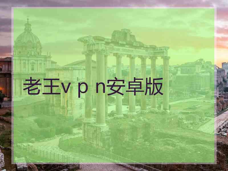 老王v p n安卓版