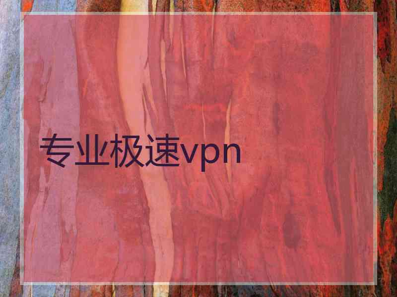 专业极速vpn