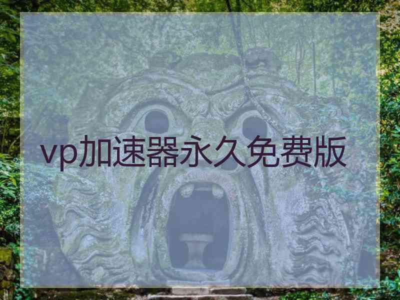 vp加速器永久免费版