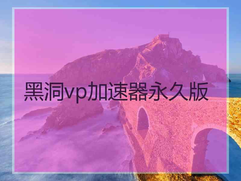 黑洞vp加速器永久版