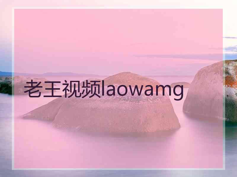 老王视频laowamg