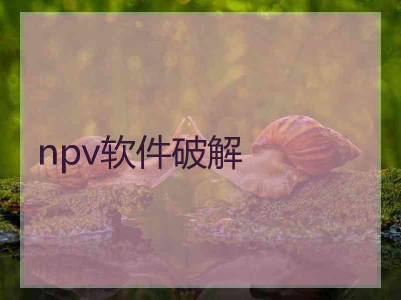 npv软件破解