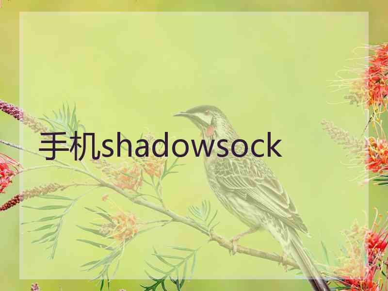 手机shadowsock