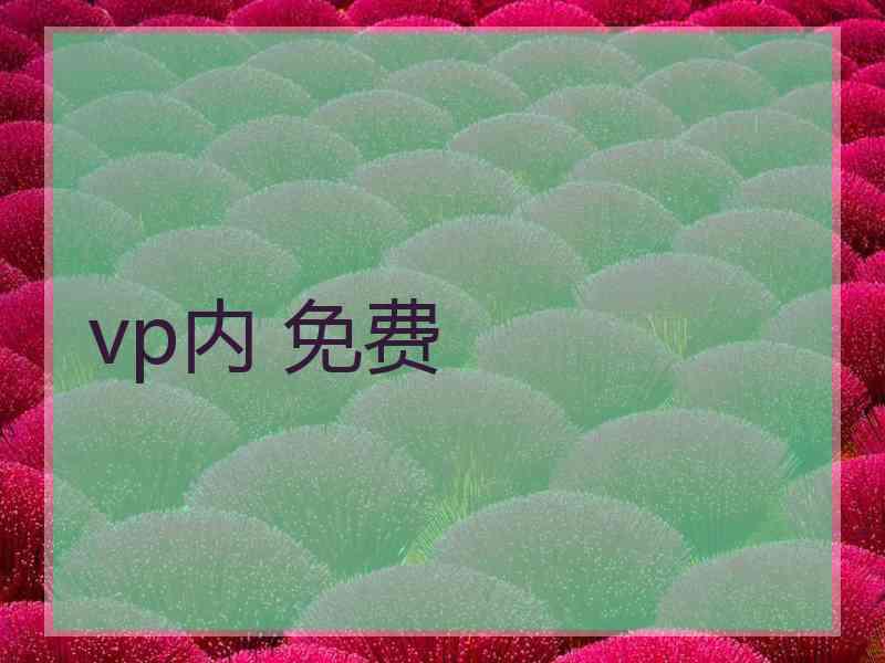 vp内 免费