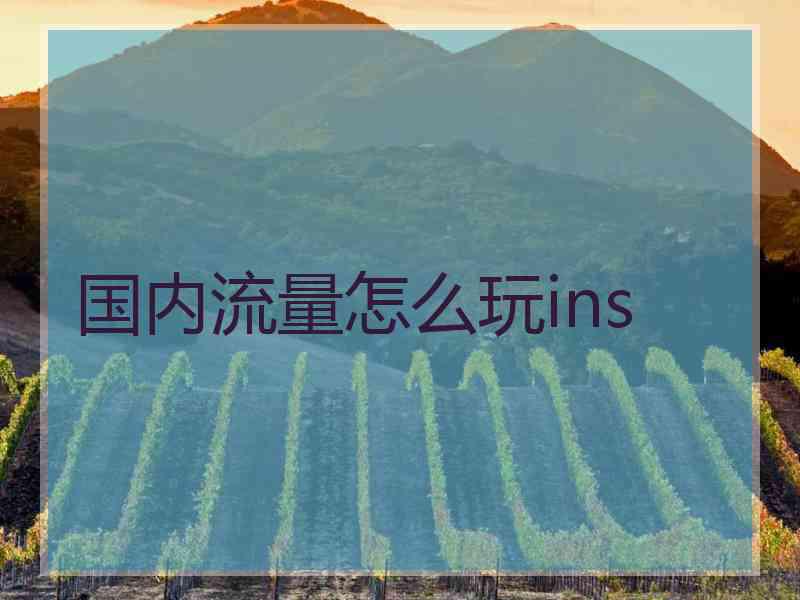 国内流量怎么玩ins