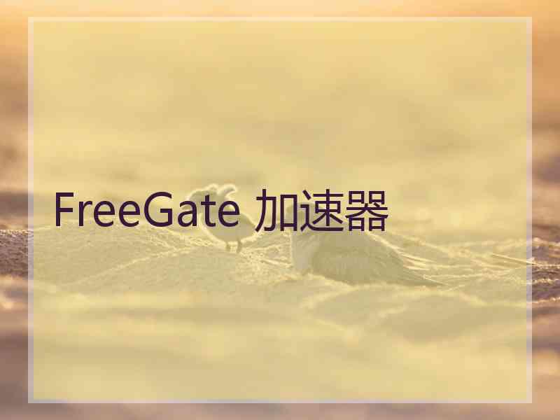 FreeGate 加速器