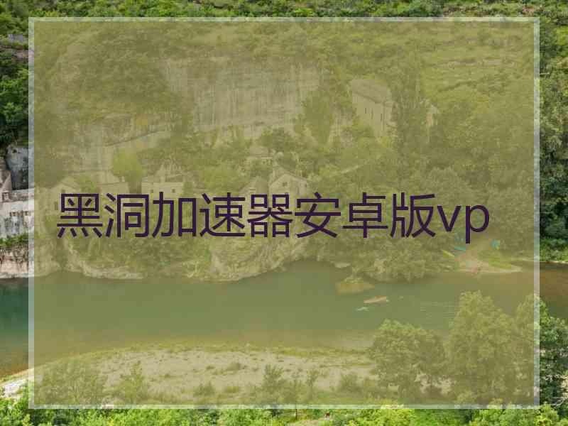 黑洞加速器安卓版vp