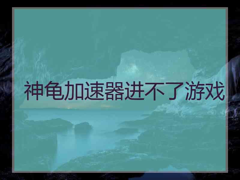 神龟加速器进不了游戏