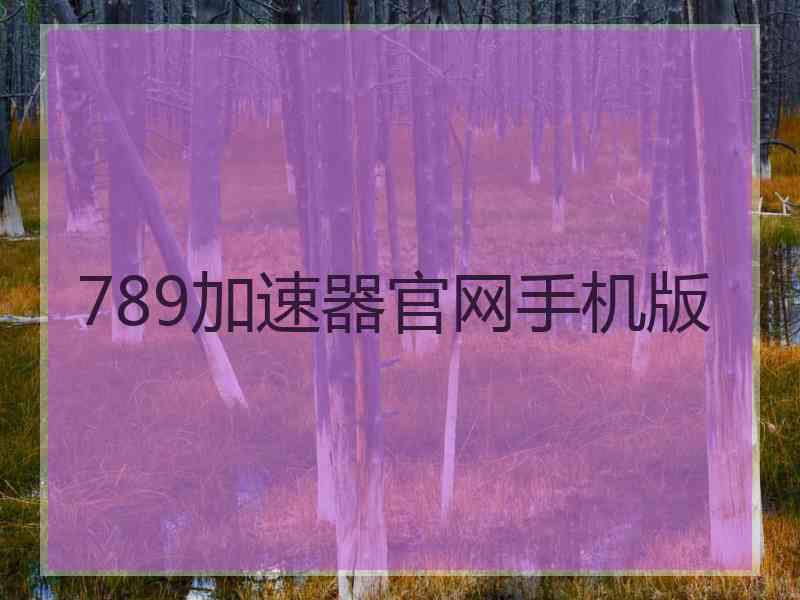 789加速器官网手机版