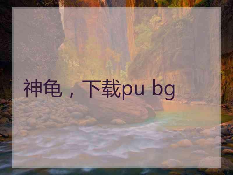 神龟，下载pu bg