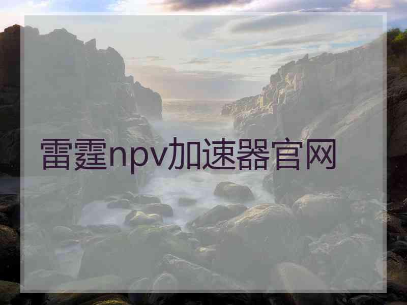 雷霆npv加速器官网