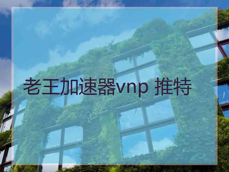 老王加速器vnp 推特