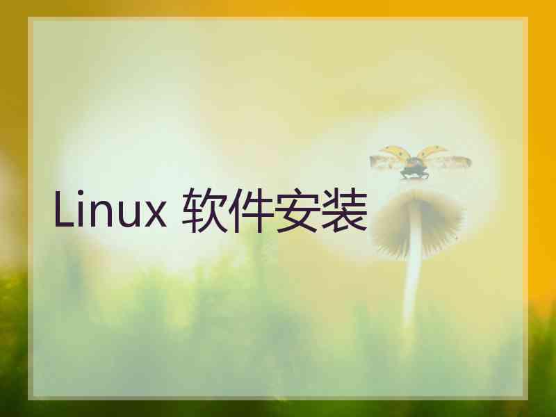 Linux 软件安装